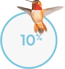 10-percent-of-birds
