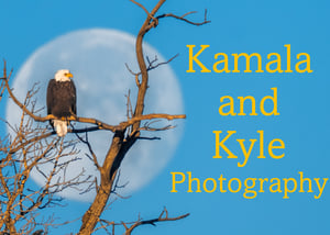 Kamala and Kyle Logo