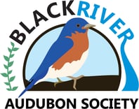 BlackRiverAudubonSocietylogo