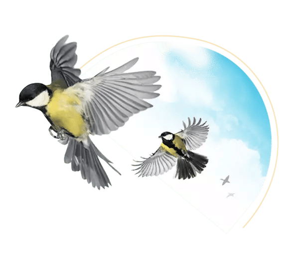 partners-featherfriendly-1