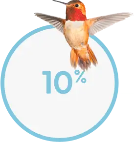 10-percent-of-birds