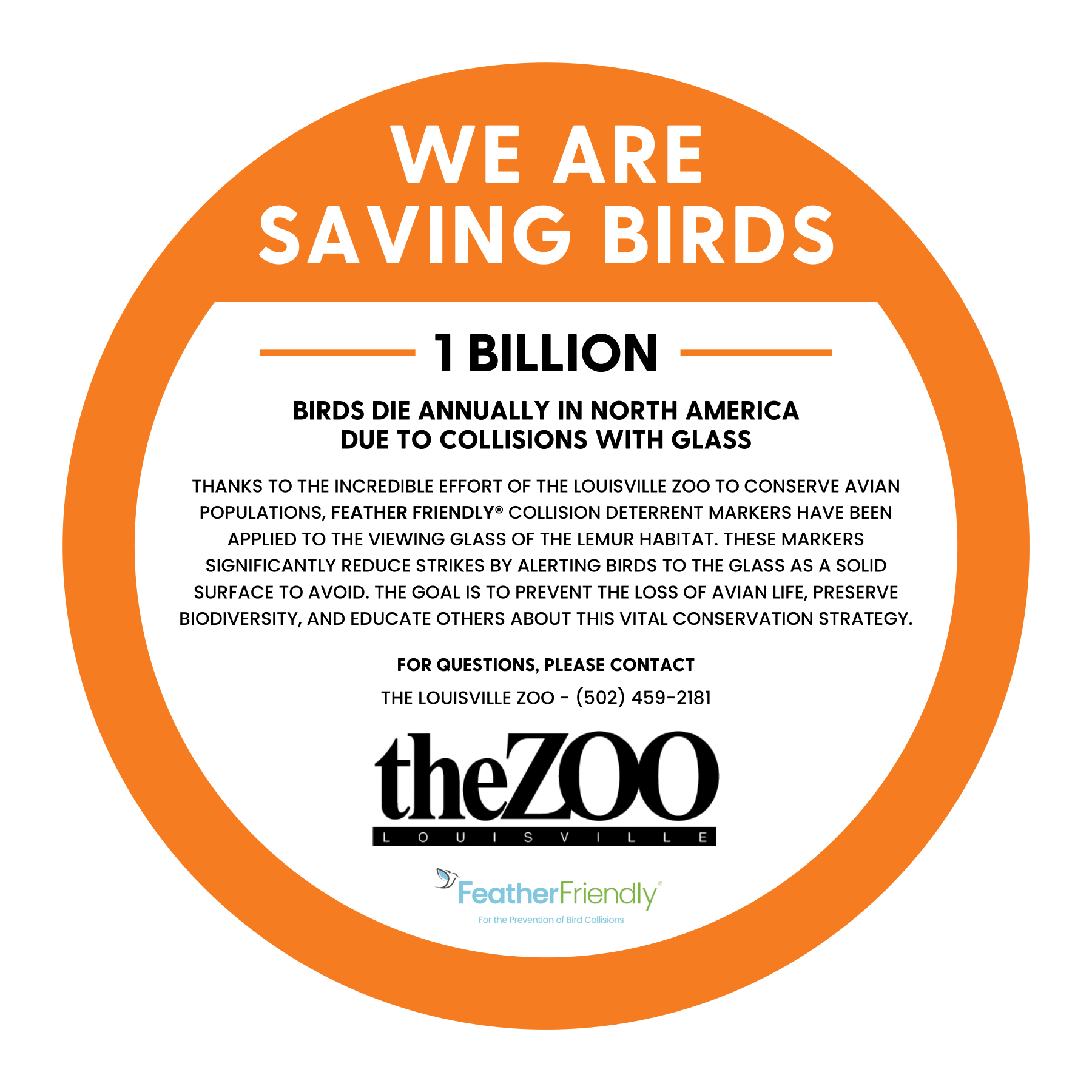 Saving Birds - Zoo Education Graphic 