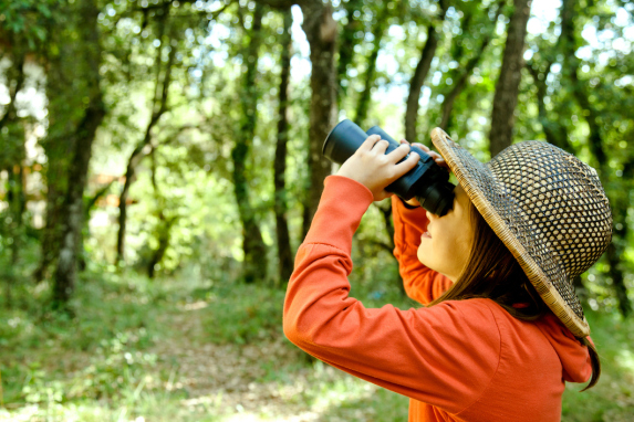 Child birdwatching with binoculars