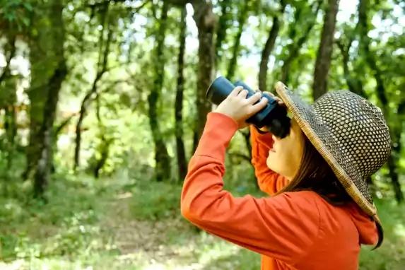 Take Your Kids Birdwatching This Summer!
